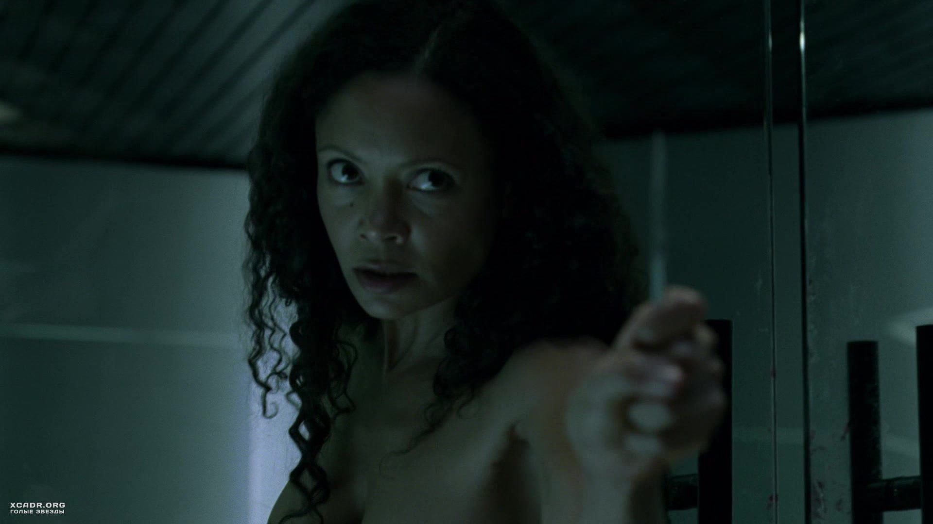 Thandie Newton Fakes