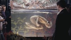 5. Полуголая девушка танцует в аквариуме – Платон
