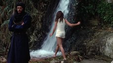 6. Мокрая Брук Шилдс у водопада – Сахара