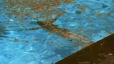 1. Голая Людивин Санье плавает в бассейне – Бассейн (2002)