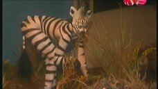 Ксения Собчак в образе зебры
