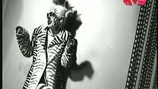 2. Ксения Собчак в образе зебры 