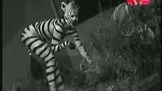 7. Ксения Собчак в образе зебры 