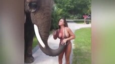 3. Слон сорвал бикини с Франсии Джеймс 