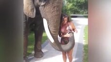 4. Слон сорвал бикини с Франсии Джеймс 