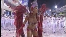 9. Вивиан Араужо в секси наряде на карнавале 