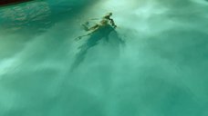 10. Обнаженная Изабель Лукас плавает в бассейне – Рыцарь кубков