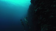 15. Тереза Палмер плавает под водой – На гребне волны
