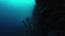 16. Тереза Палмер плавает под водой – На гребне волны